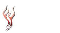 © ROLCC FLY YOUNG MANDARIN YOUTH ZONE 生命河飛揚華語青年牧區